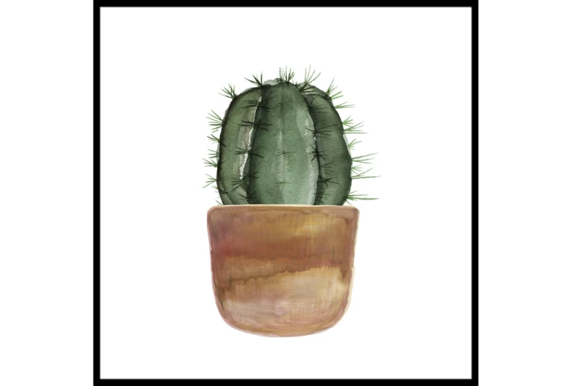 38X38 Short Cactus With Black Frame - 360