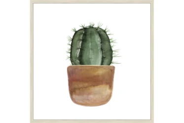 38X38 Short Cactus With Birch Frame