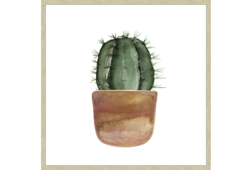 38X38 Short Cactus With Champage Frame - 360