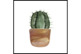 45X45 Short Cactus With Black Frame