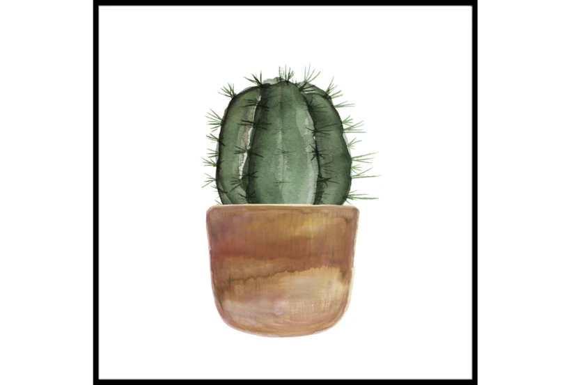 47X47 Short Cactus With Black Frame - 360