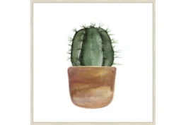 45X45 Short Cactus With Brich Frame