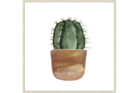 47X47 Short Cactus With Birch Frame