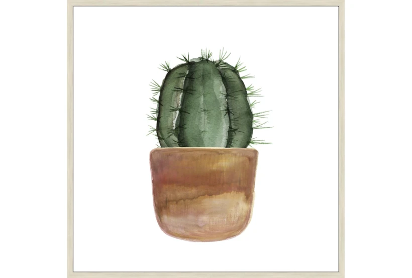 47X47 Short Cactus With Birch Frame - 360