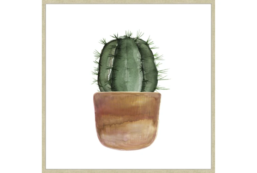 47X47 Short Cactus With Champage Frame - 360