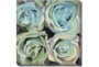 24X24 Turquoise Bloom With Gallery Wrap Canvas - Signature