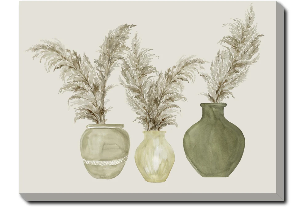 40X30 Pampas In Green Pots With Gallery Wrap Canvas