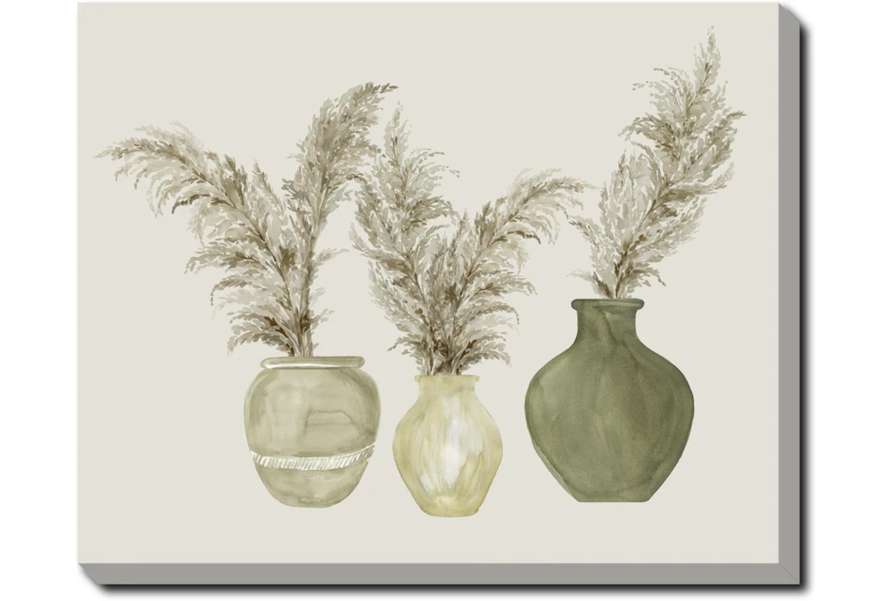 50X40 Pampas In Green Pots With Gallery Wrap Canvas