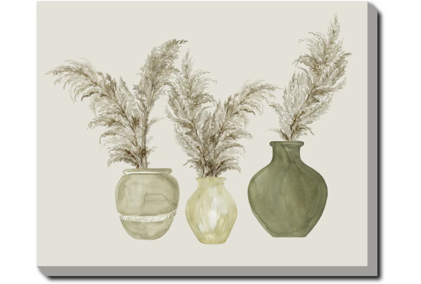 50X40 Pampas In Green Pots With Gallery Wrap Canvas - 360