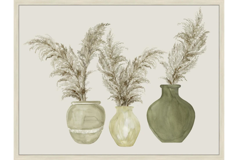 42X32 Pampas In Green Pots With Birch Frame - 360