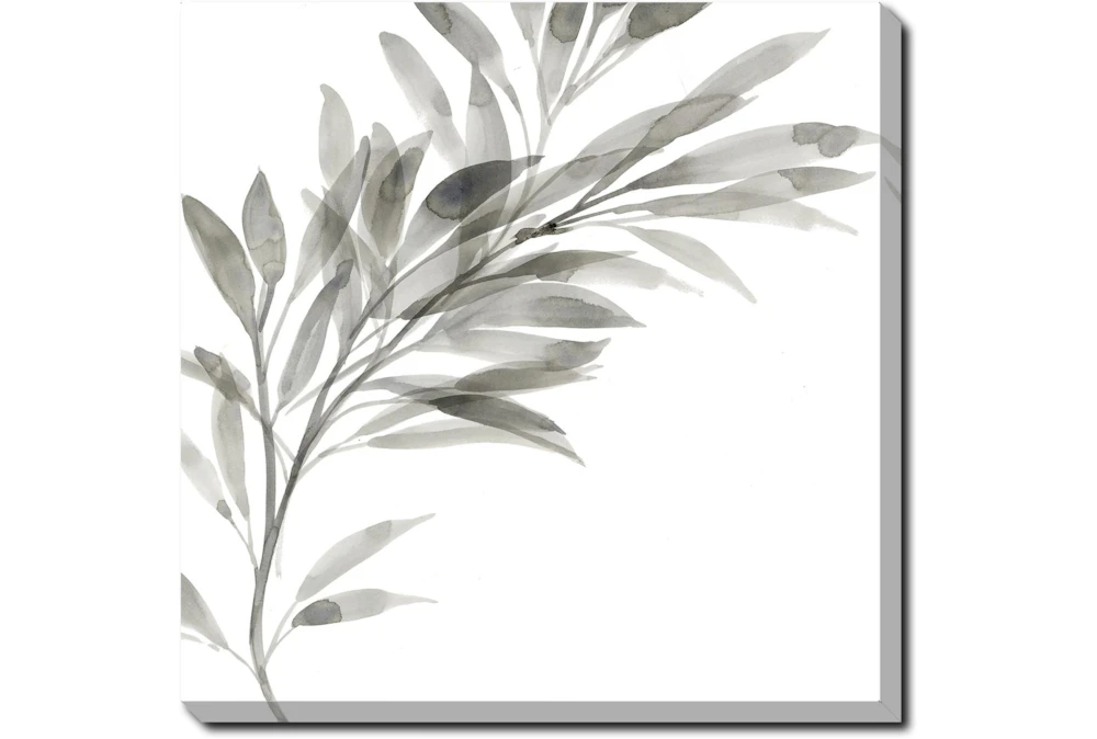24X24 Watercolor Leaf Grey With Gallery Wrap Canvas