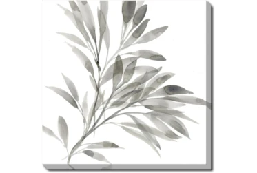 24X24 Watercolor Leaf Grey With Gallery Wrap Canvas