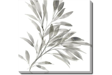 24X24 Watercolor Leaf Grey With Gallery Wrap Canvas - Main