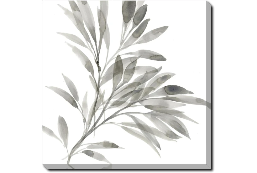 24X24 Watercolor Leaf Grey With Gallery Wrap Canvas - 360