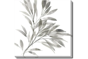 45X45 Watercolor Leaf Grey With Gallery Wrap Canvas
