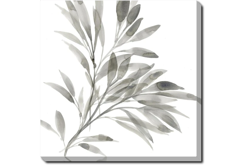 45X45 Watercolor Leaf Grey With Gallery Wrap Canvas - 360
