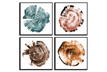 Tree Ring Abstract Set Of 4 By Drew & Jonathan For Living Spaces