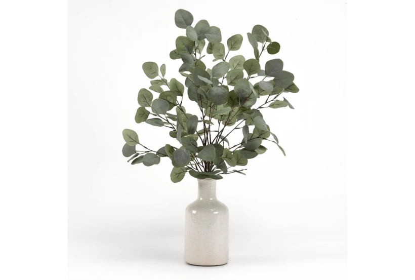 Eucalyptus Branches In Ceramic Bottle - 360