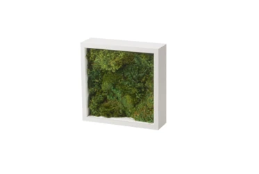 Preserved Mood Moss In White Shadow Box
