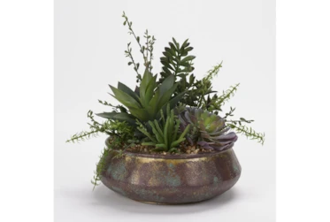 Assorted Succulents, Aloe & Jade Plant In Aged Copper Bowl