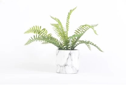 halen Permanent Snooze 14" Fern Plant With Round Ceramic Marble Pot | Living Spaces