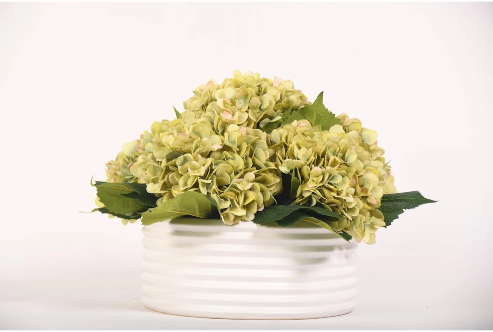 Green Hydrangeas In White Ceramic Bowl