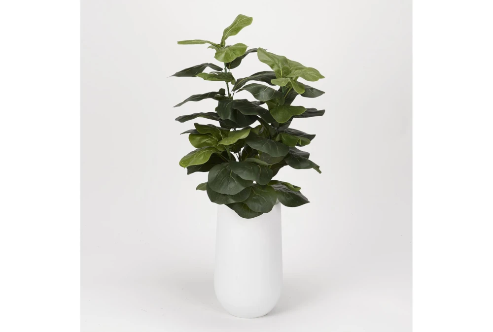 44" Fiddle Leaf Fig In Round White Resin Planter