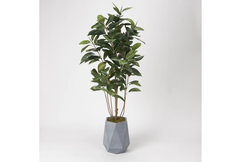 6' Rubber Tree In Grey Resin Planter - 360