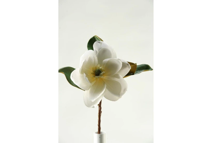 29" Natural Plus Magnolia Cream - 360