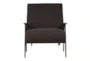 Metal Frame + Fabric Accent Chair With Wood Detail - Front