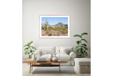 40X30 Arizona Desert With Natural Frame
