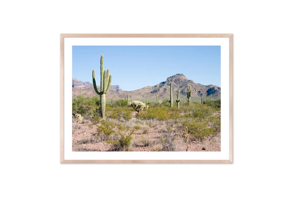 40X30 Arizona Desert With Natural Frame