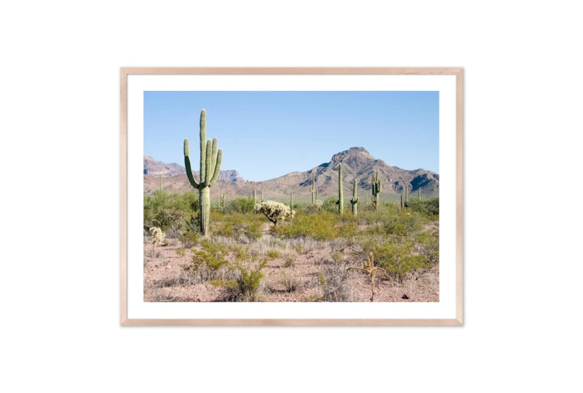 40X30 Arizona Desert With Natural Frame - 360