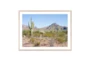 40X30 Arizona Desert With Natural Frame - Signature