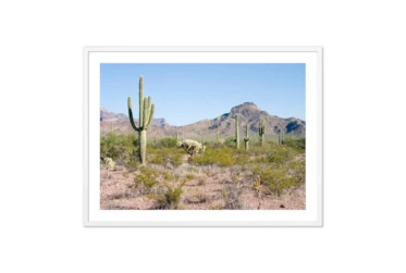 40X30 Arizona Desert With White  Frame