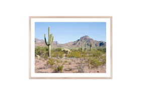 60X40 Arizona Desert With Natural Frame