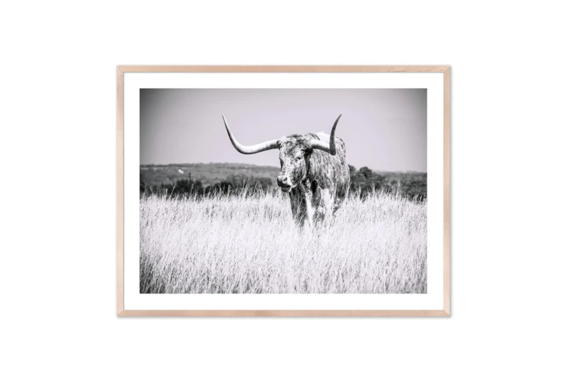 60X40 Texas Longhorn Cattle With Natural Frame - 360