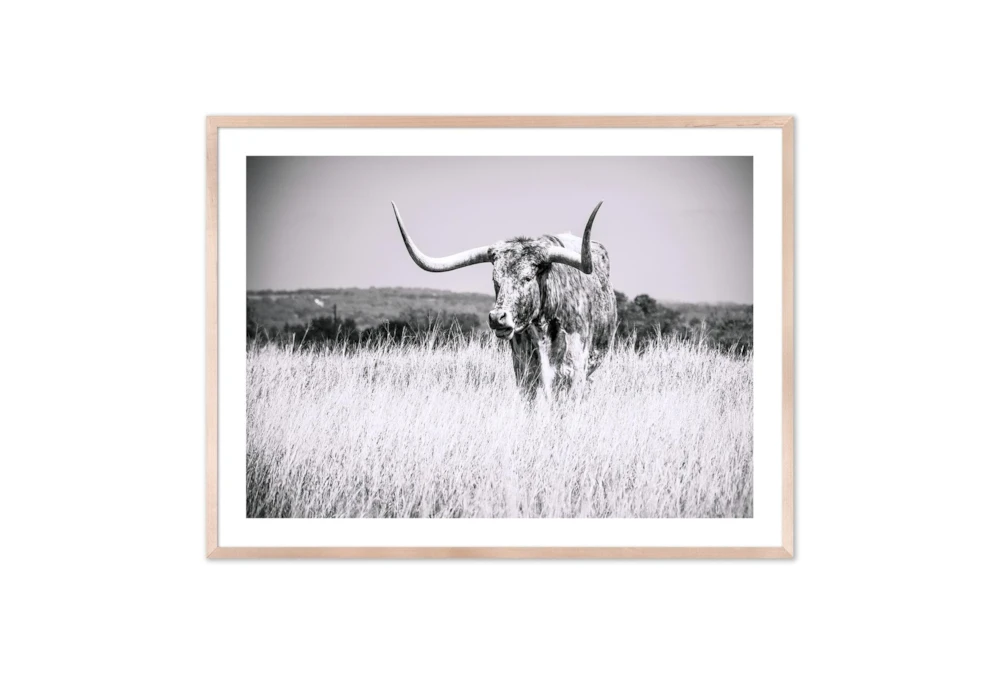 60X40 Texas Longhorn Cattle With Natural Frame