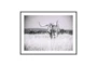 40X30 Texas Longhorn Cattle With Black Frame - Signature