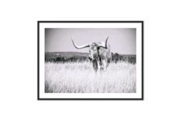 60X40 Texas Longhorn Cattle With Black Frame