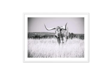 60X40 Texas Longhorn Cattle With White  Frame
