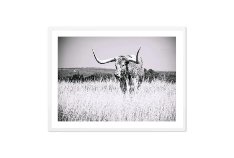 60X40 Texas Longhorn Cattle With White  Frame - 360
