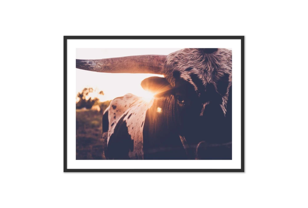 60X40 Texas Longhorn Bull With Black Frame