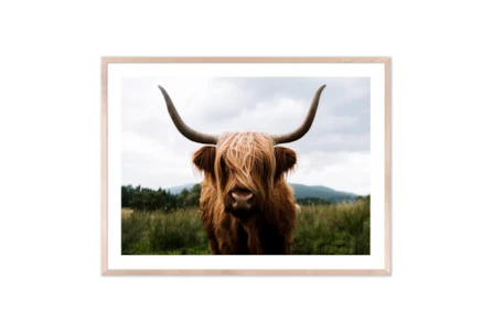 40X30 Highland Cow II By Michael Schauer With Natural Frame
