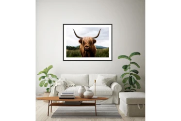 40X30 Highland Cow II By Michael Schauer With Black Frame