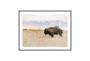 40X30 Male Bull Wild Bison With Black Frame - Signature