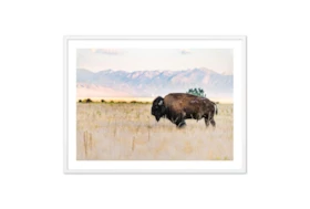 60X40 Male Bull Wild Bison With White  Frame