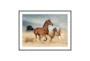 40X30 Herd Of Wild Beautiful Horses With Black Frame - Signature