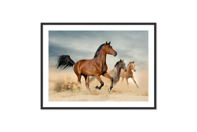 60X40 Herd Of Wild Beautiful Horses With Black Frame - 360