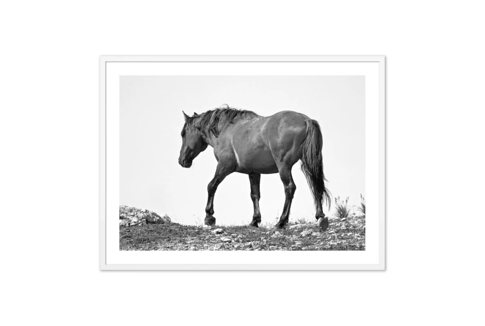 60X40 Wild Horse Grulla Gray With White  Frame